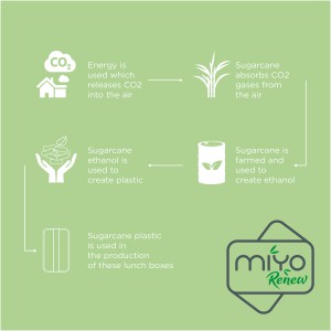 MIYO Renew teldoboz, kk/kk (manyag konyhafelszerels)